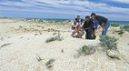 Coorong National Par..