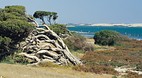 Coorong National Par..