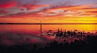 Coorong National Par..