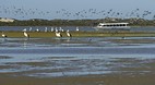 Coorong National Par..