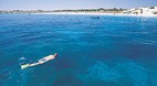 Coral Bay