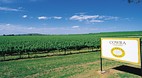 Cowra