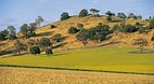 Cowra