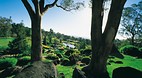 Cowra