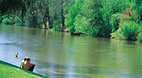Cowra