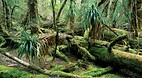 Cradle Mountain