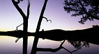 Cradle Mountain