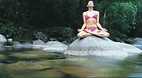 Daintree