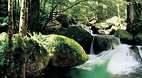 Dandenong Ranges Nat..
