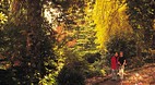 Dandenong Ranges Nat..