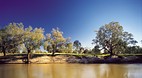 Darling River