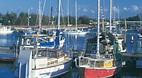 Darwin Harbour