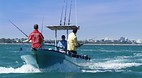 Darwin Harbour