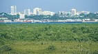 Darwin