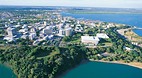 Darwin