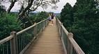Dorrigo National Par..