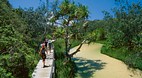 Fraser Coast South B..