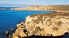 Elliston