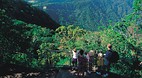 Eungella National Pa..
