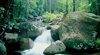 Eungella National Pa..