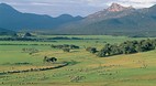 Flinders Island