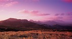 Flinders Island