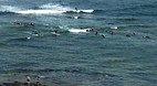 Mornington Peninsula