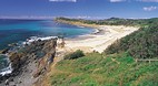 Forster