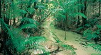 Fraser Island