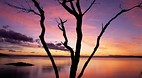 Freycinet National P..