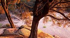 Freycinet National P..