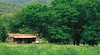 Geehi Flats