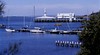 Geelong