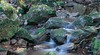 Gippsland