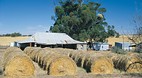 Goomalling
