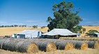 Goomalling