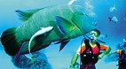 Great Barrier Reef