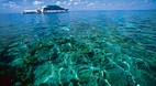 Great Barrier Reef