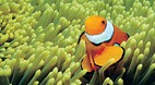 Great Barrier Reef