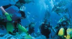 Great Barrier Reef