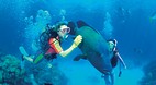 Great Barrier Reef