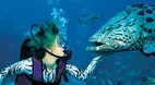 Great Barrier Reef