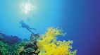 Great Barrier Reef