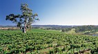 Hahndorf