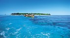 Heron Island