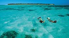 Heron Island