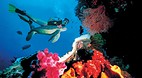 Heron Island