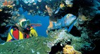Heron Island