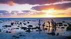 Heron Island