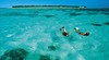 Heron Island